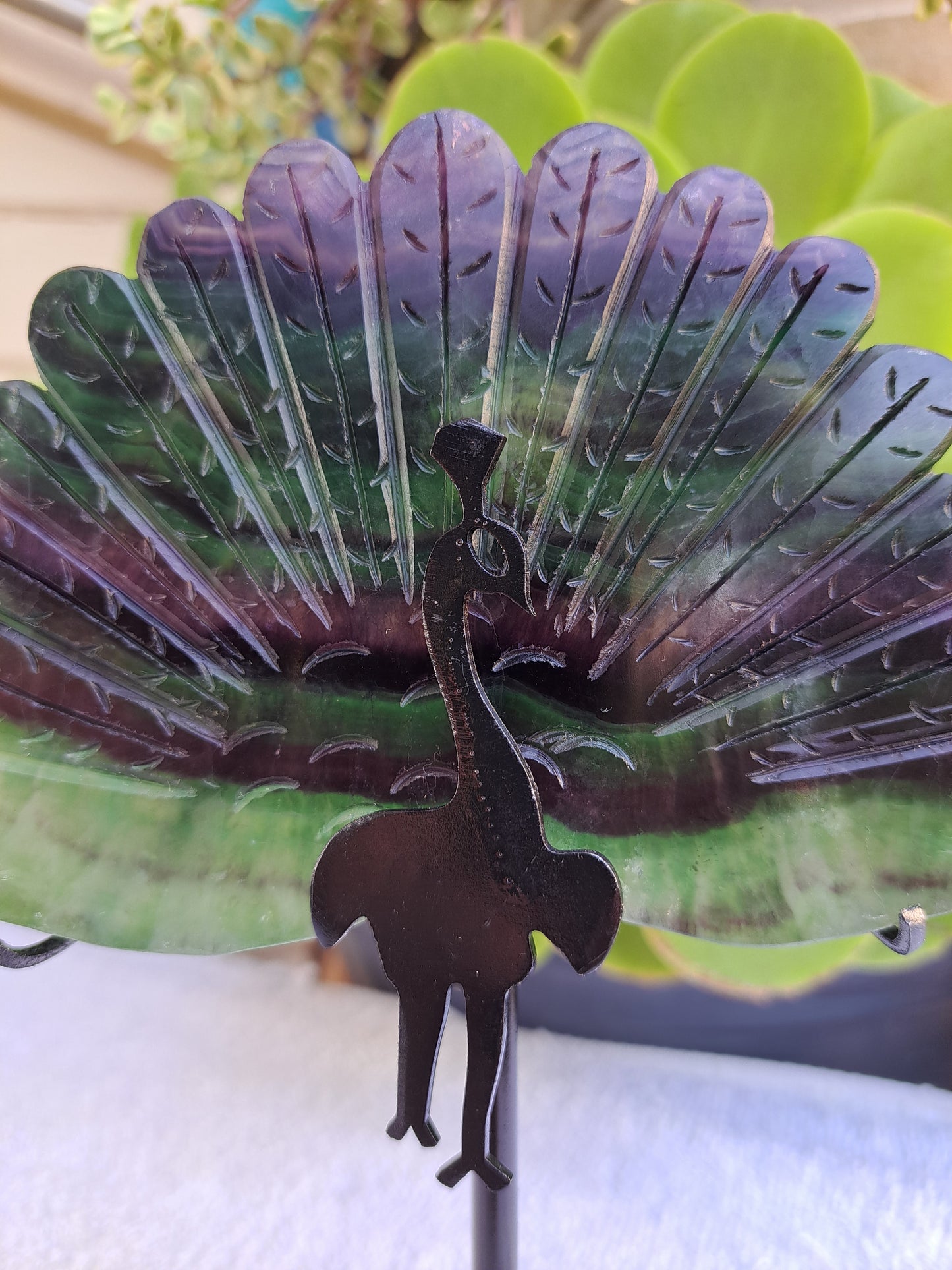 Fluorite Peacock