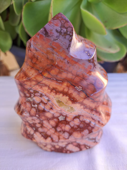 Orbicular Jasper Flame