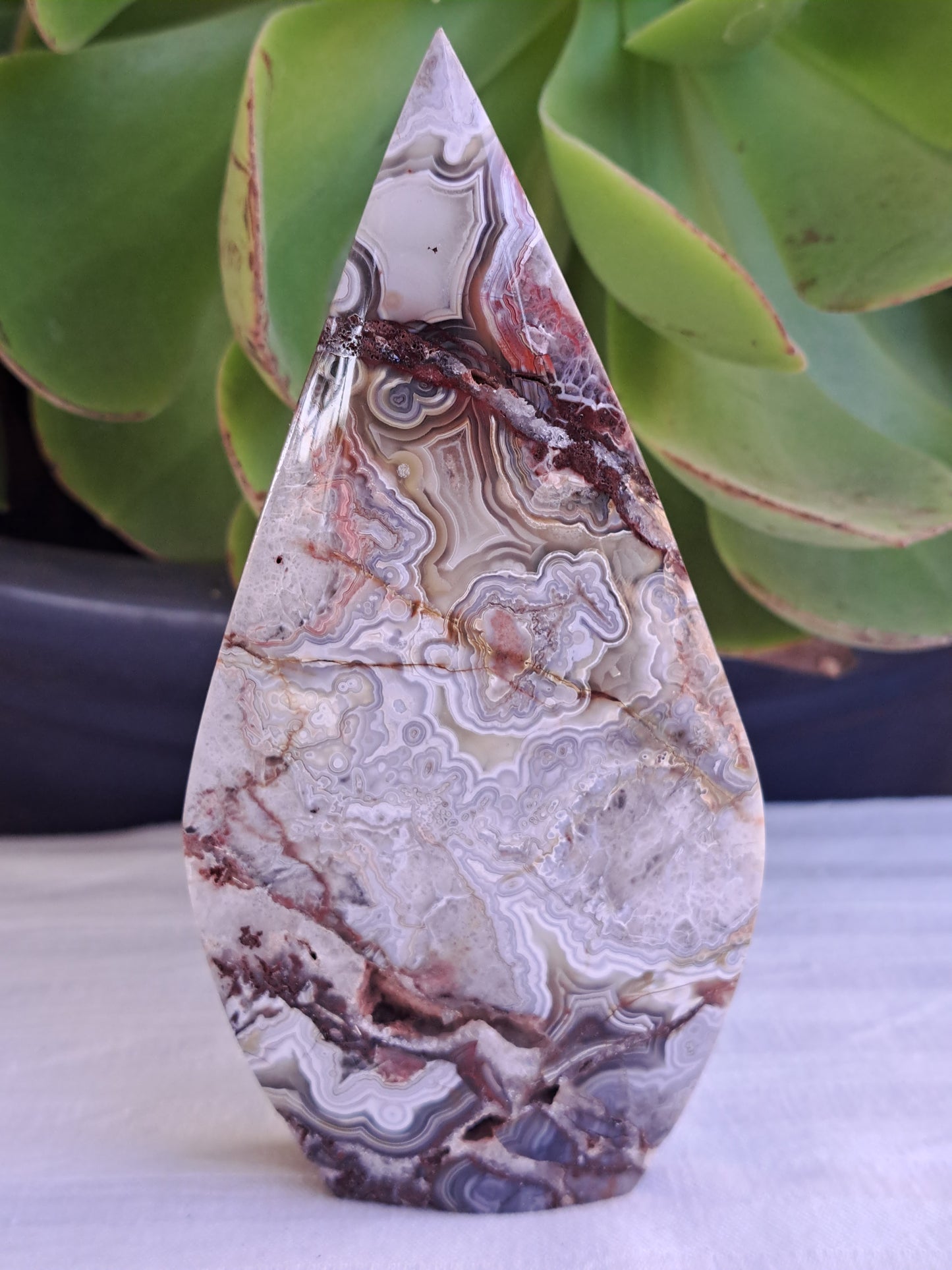 Mexico Crazy Lace Agate Free Form