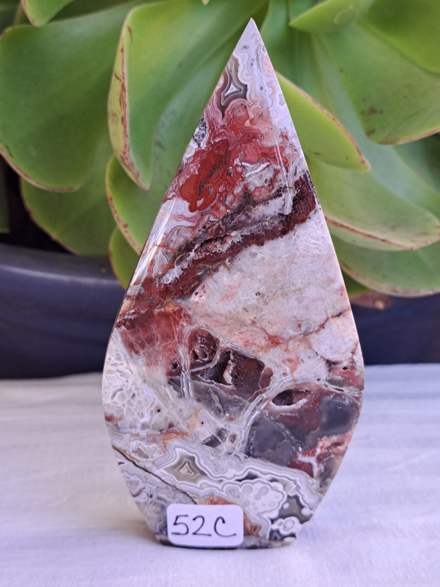 Mexico Crazy Lace Agate Free Form