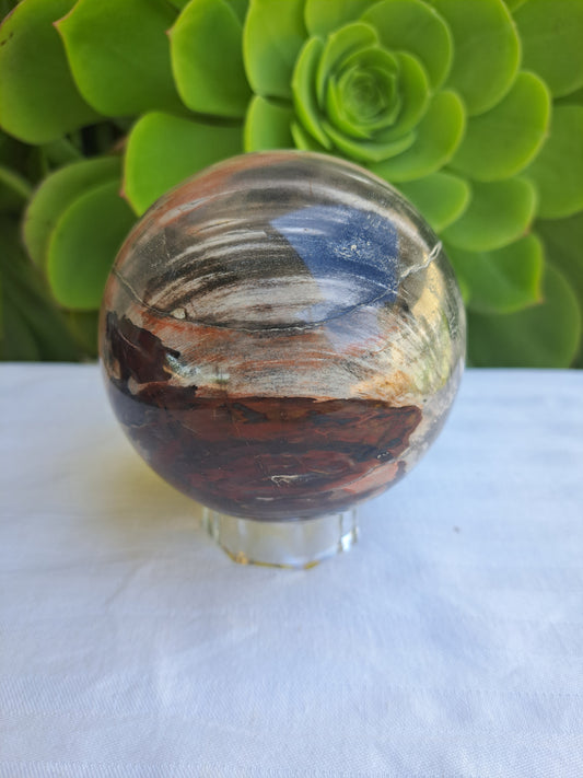 Petrified Wood Sphere