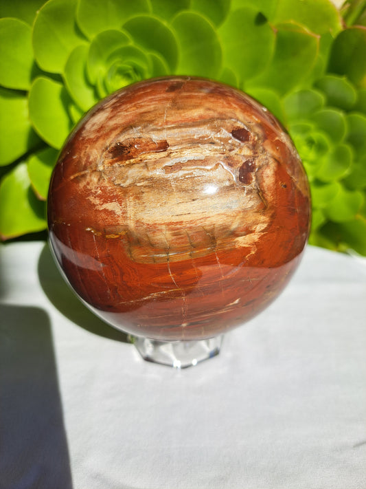 Petrified Wood Sphere