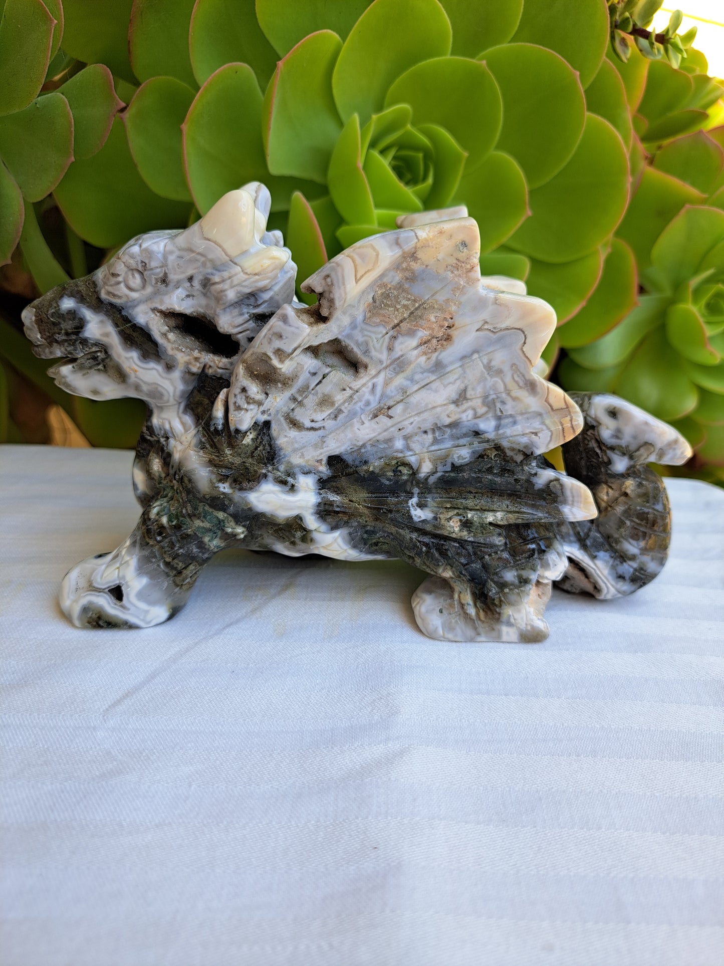 Ocean Jasper Flying Dragon