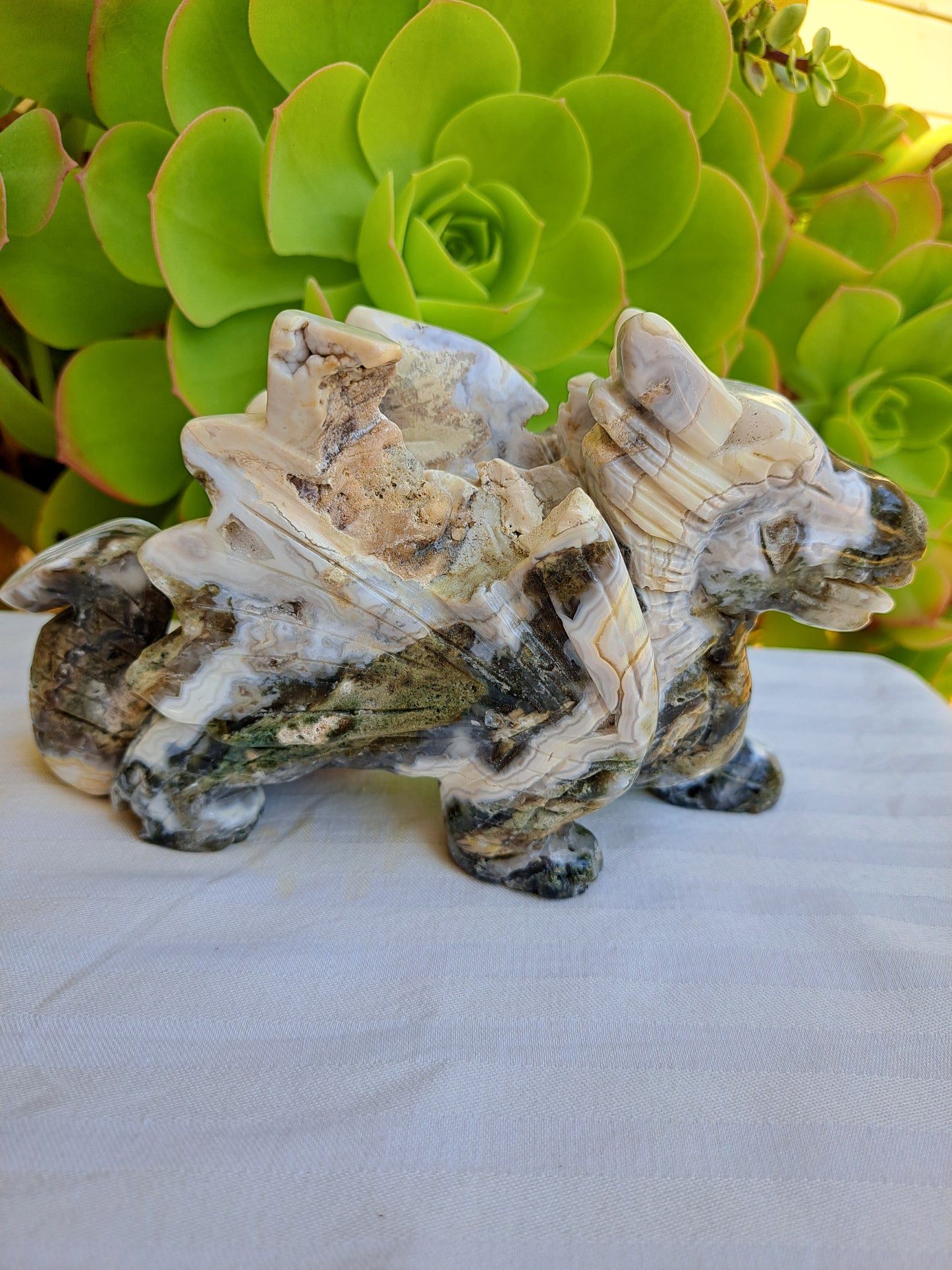 Ocean Jasper Flying Dragon