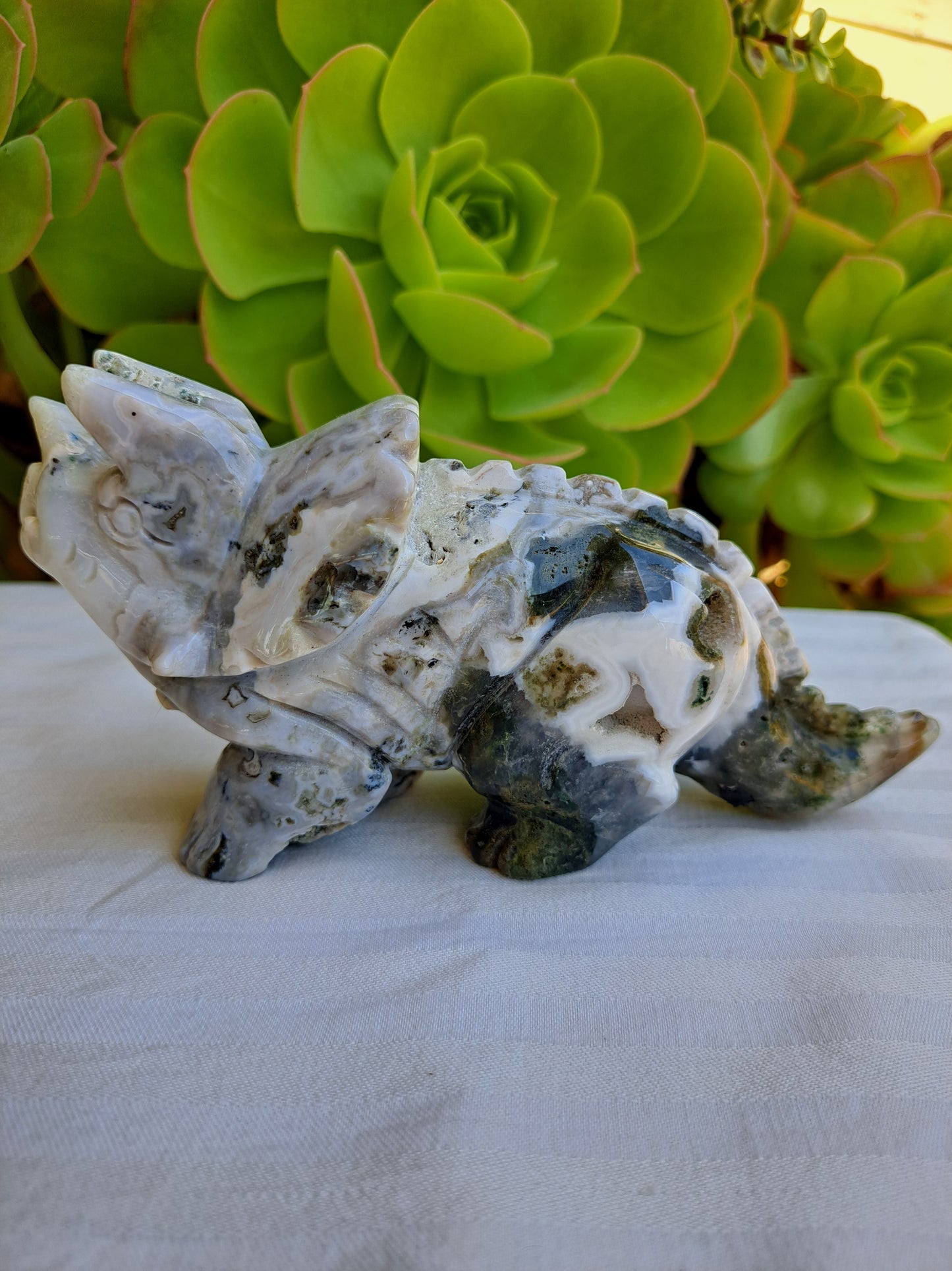 Ocean Jasper Triceratops