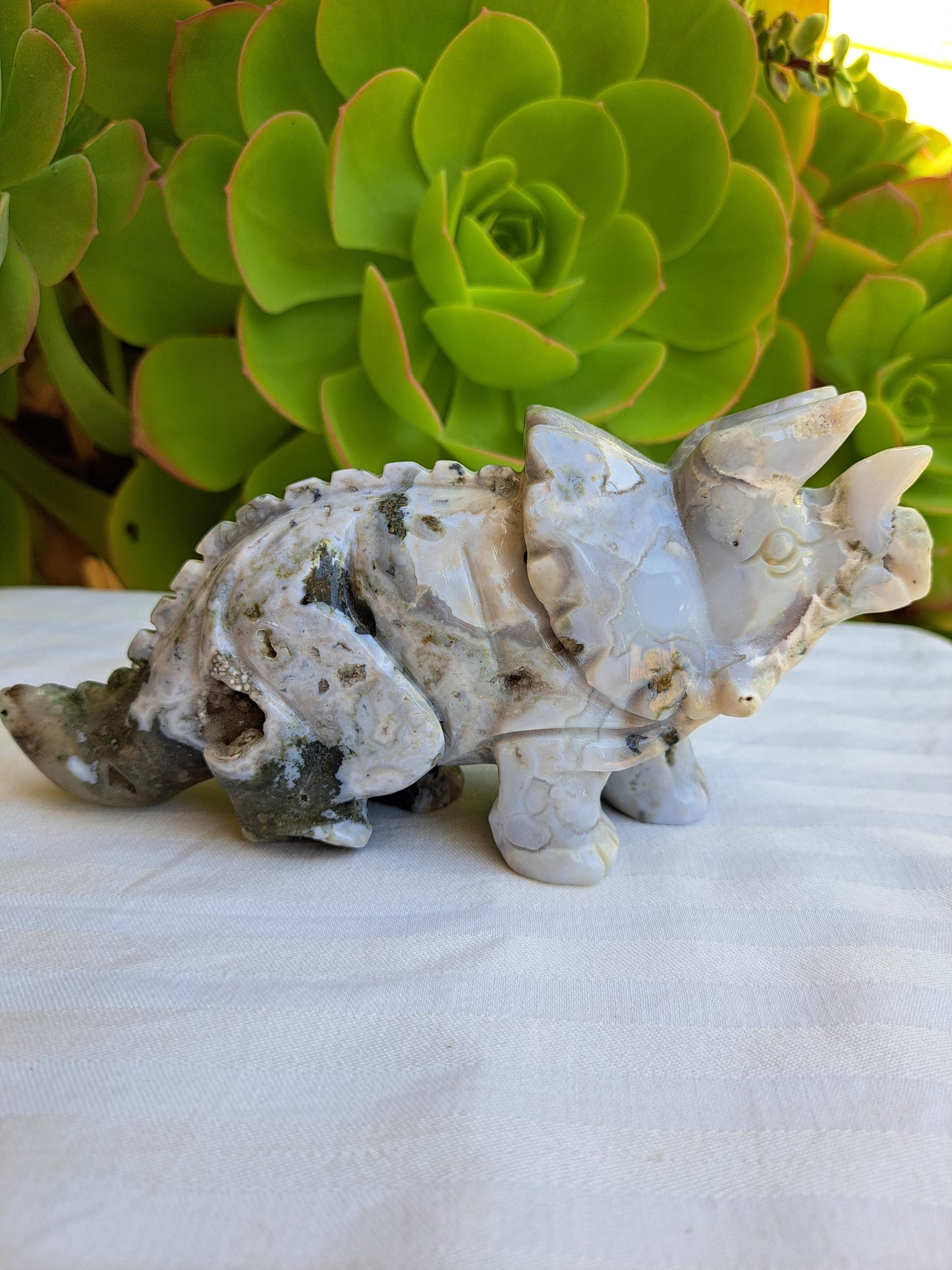 Ocean Jasper Triceratops