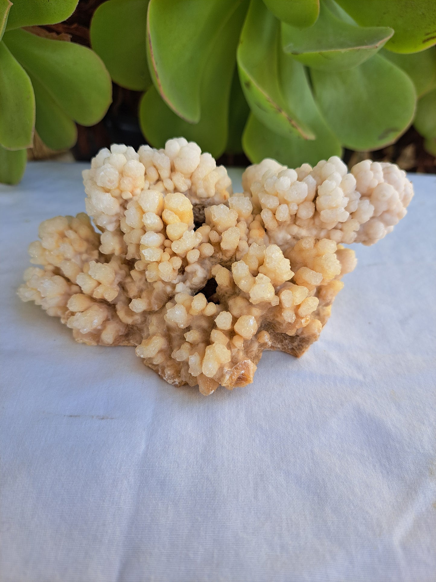 Popcorn Calcite Specimen