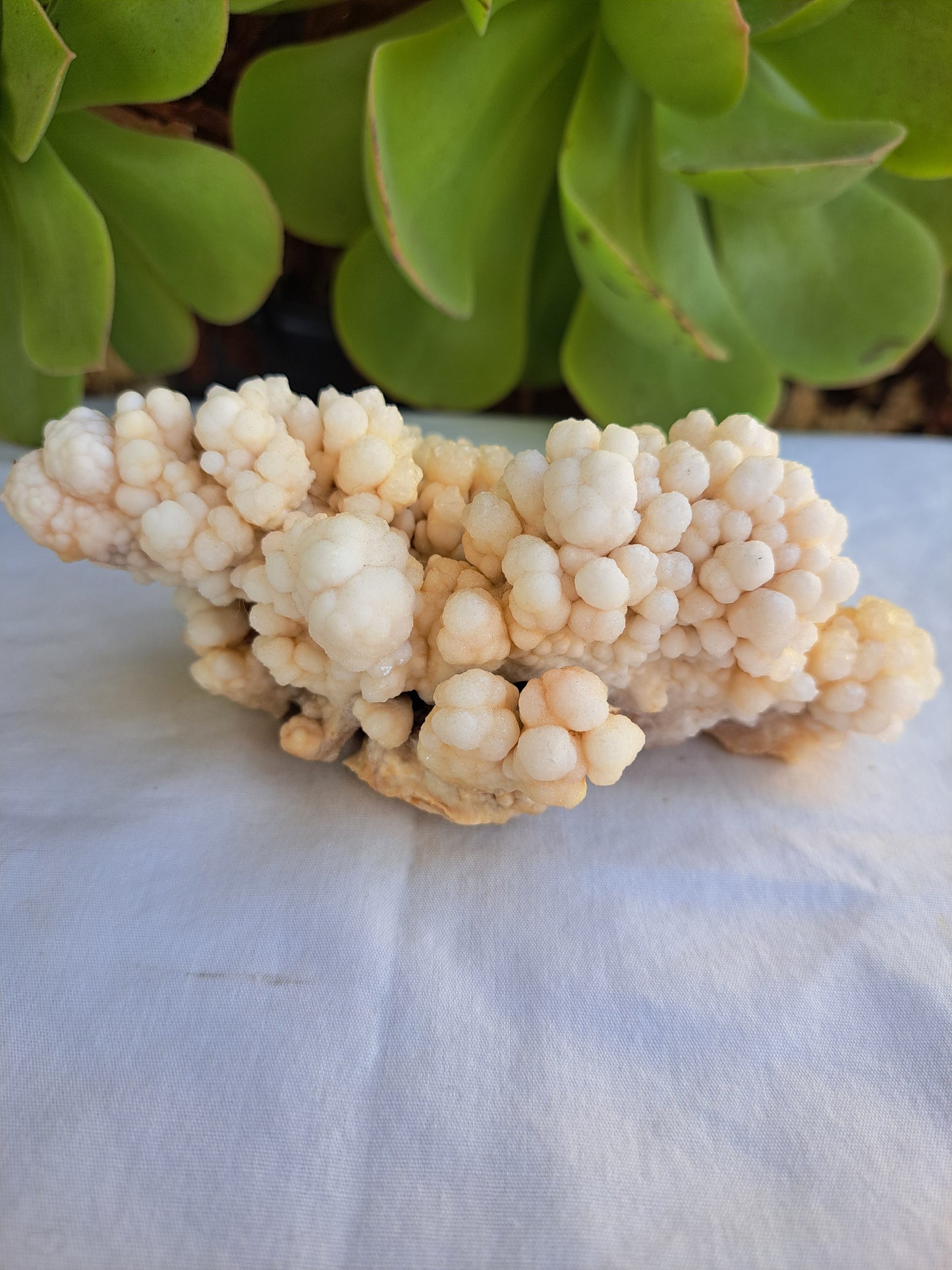 Popcorn Calcite Specimen