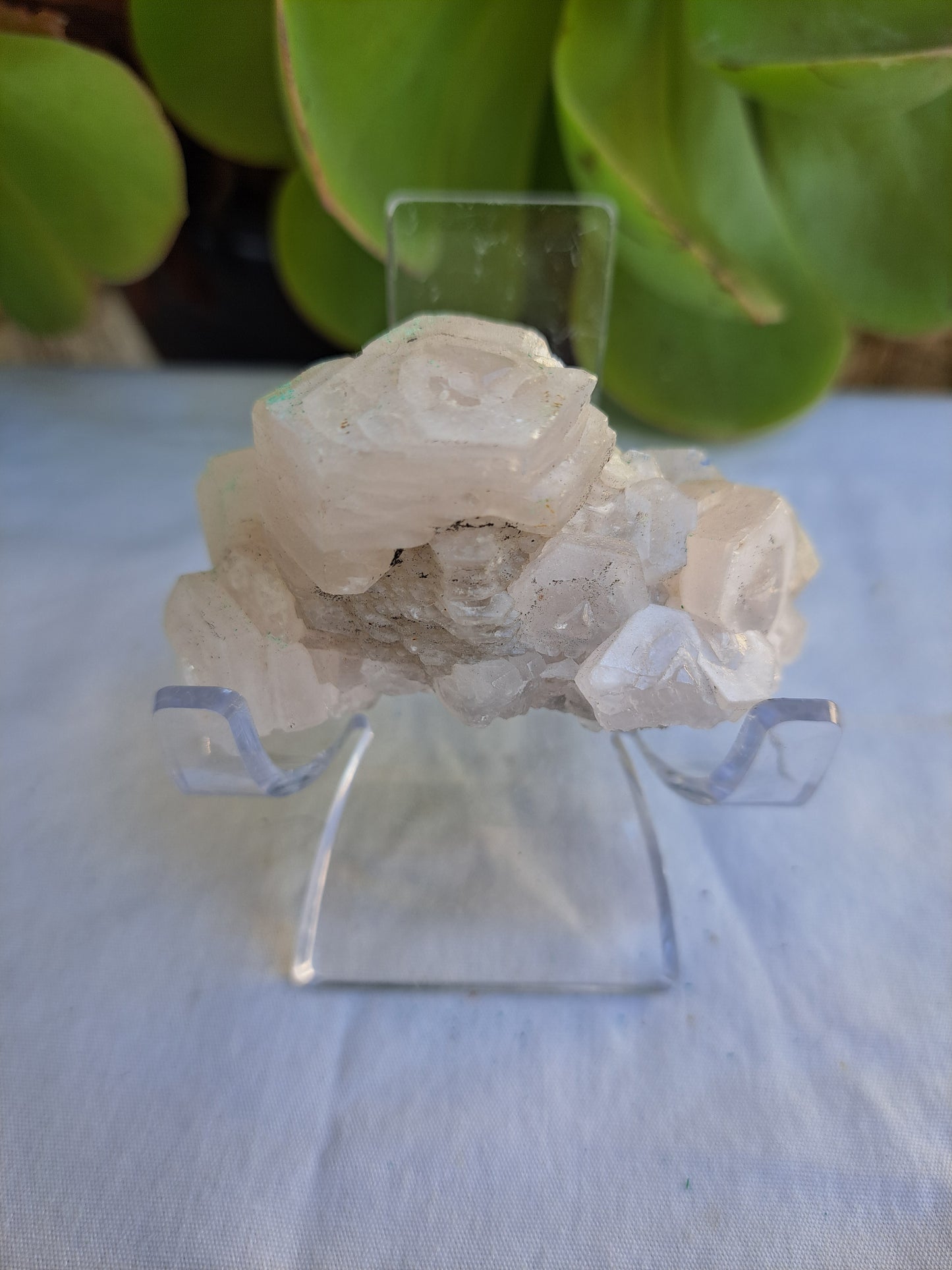 Coin Calcite Specimen