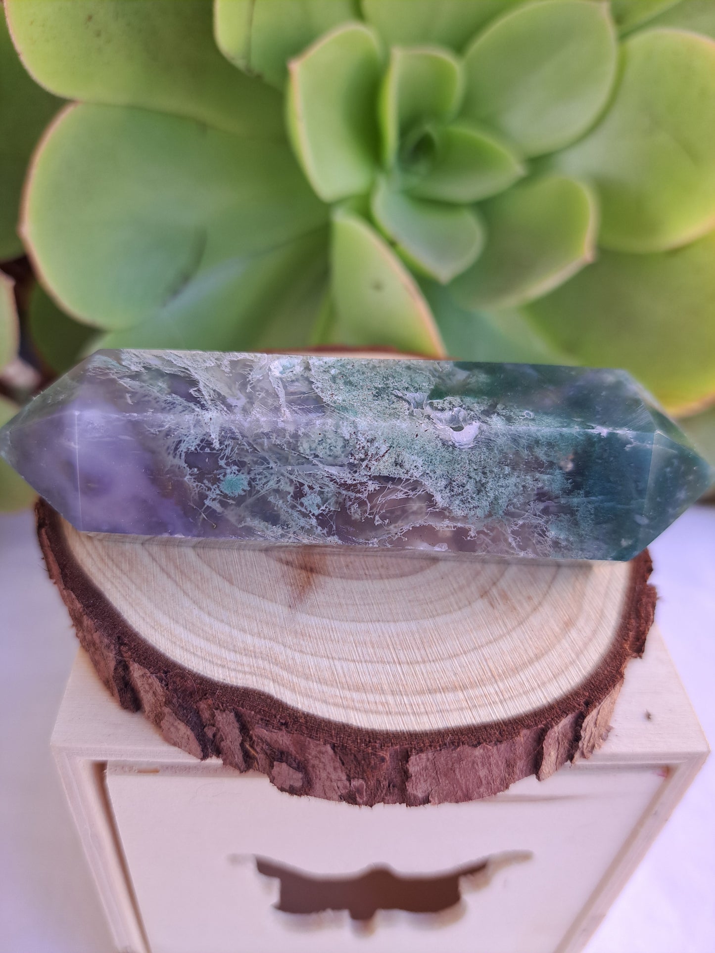 Moss Agate DT's