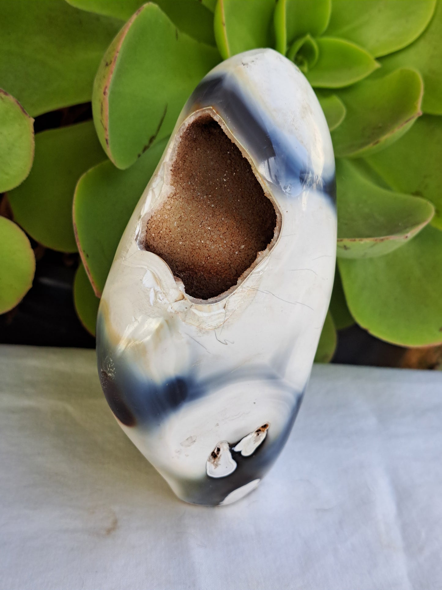 Orca Agate Free Form