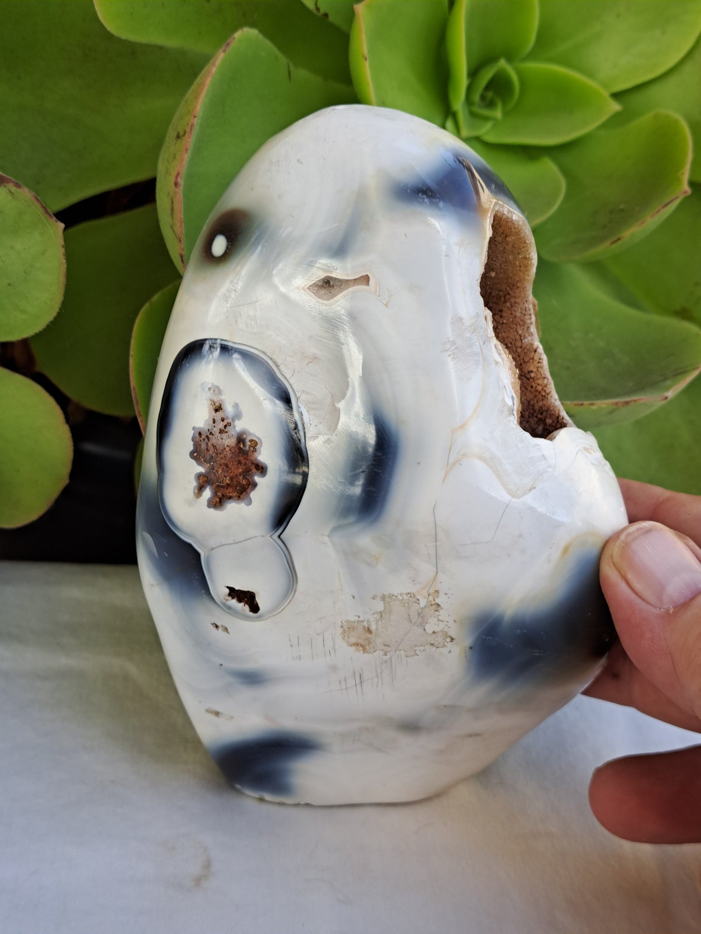 Orca Agate Free Form