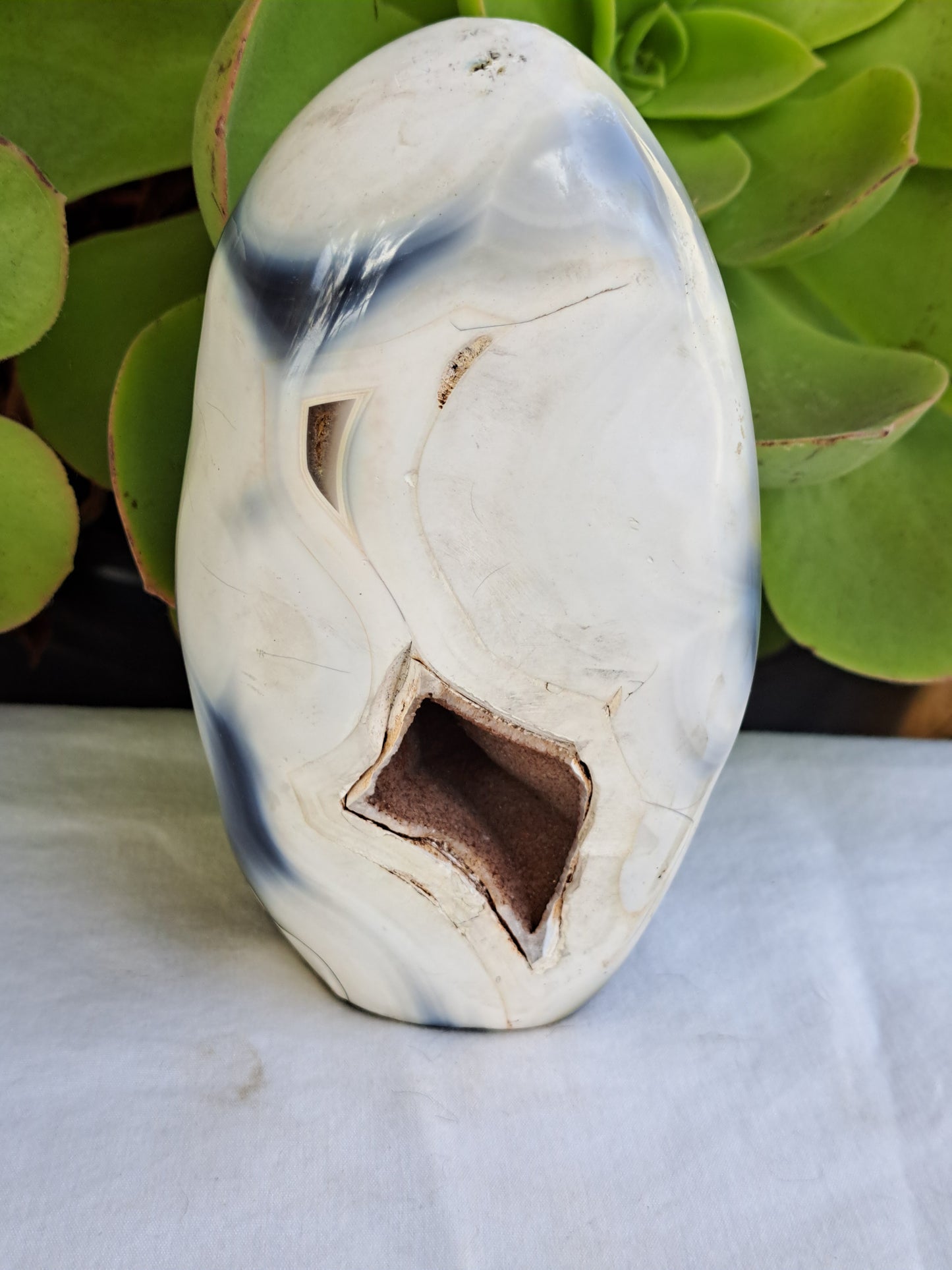 Orca Agate Free Form