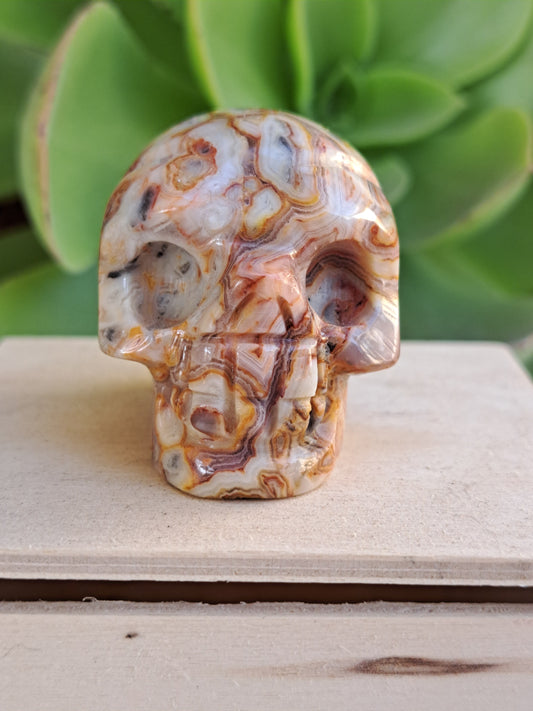 Mexico Crazy Lace Mini Skull Carving