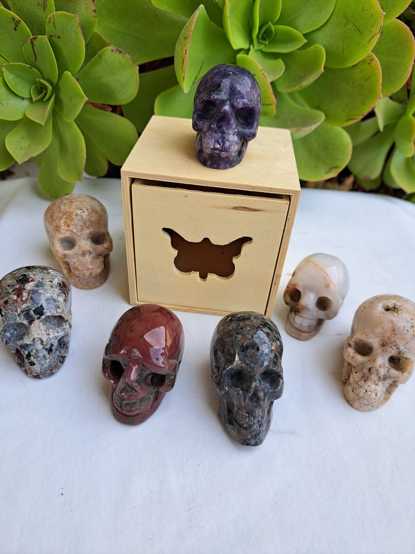 Assorted Skull Carving Bundle