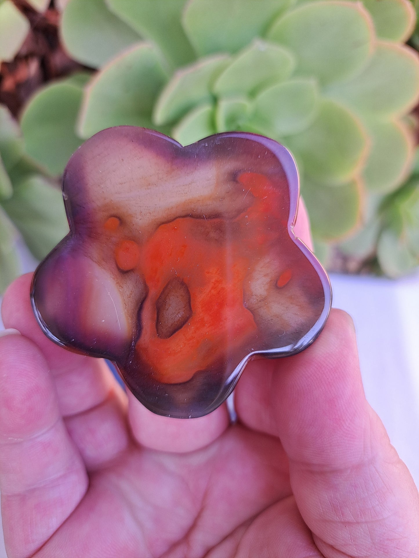 Agate Shapes Bundle