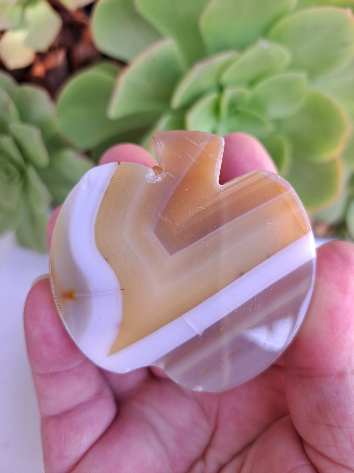 Agate Shapes Bundle