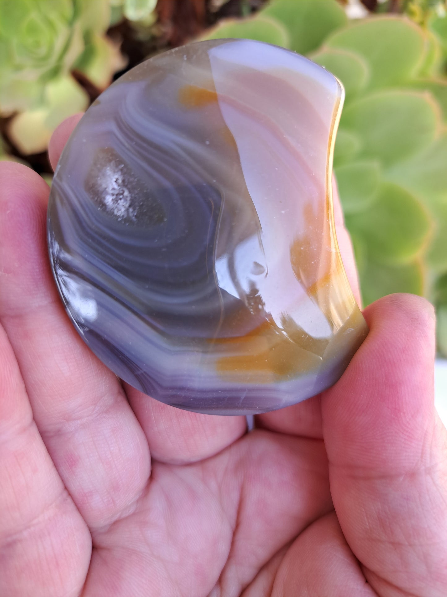 Agate Shapes Bundle