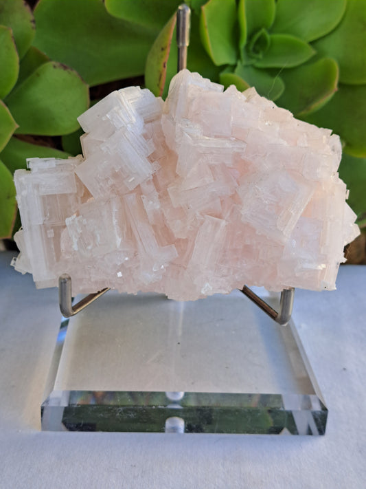 Pink Halite Specimen