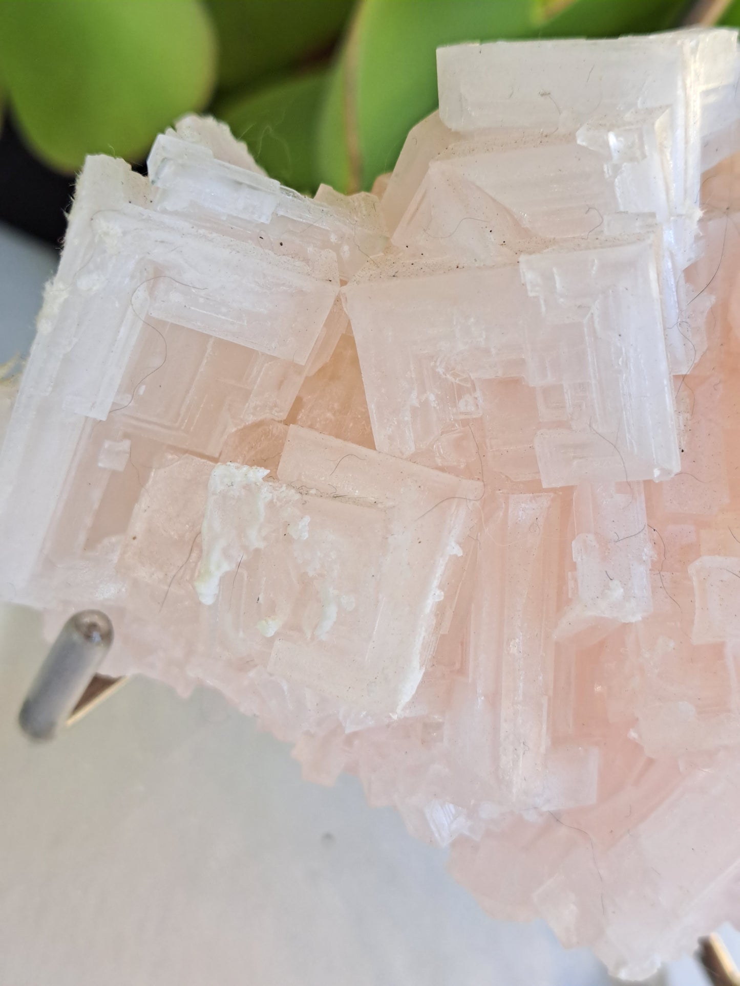 Pink Halite Specimen