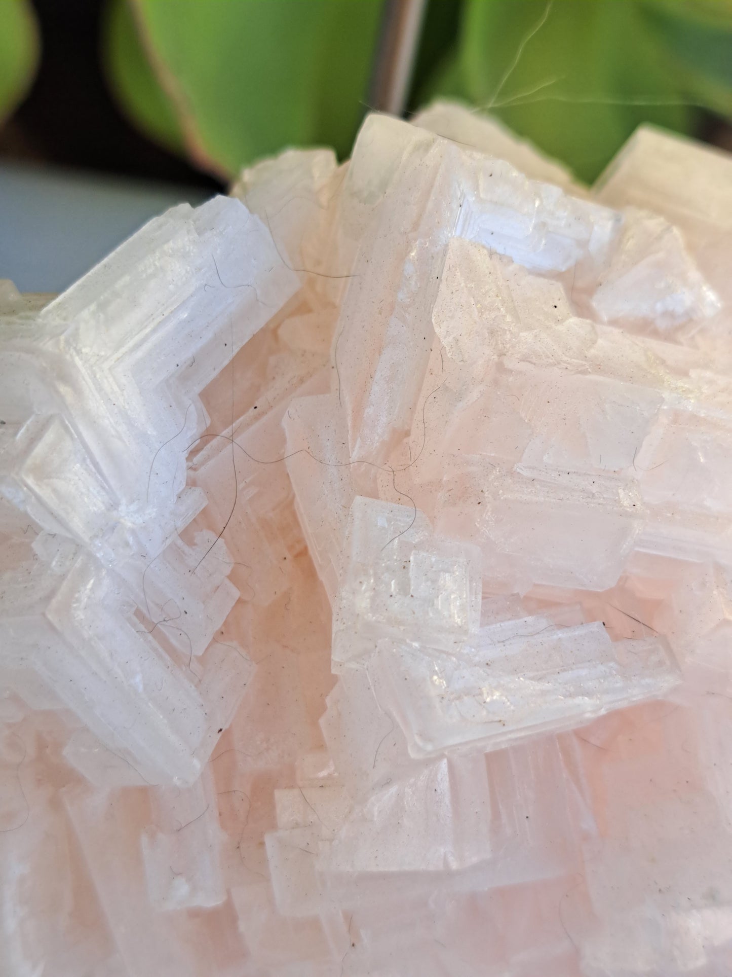 Pink Halite Specimen