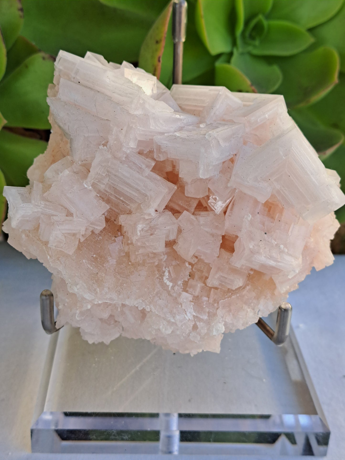 Pink Halite Specimen