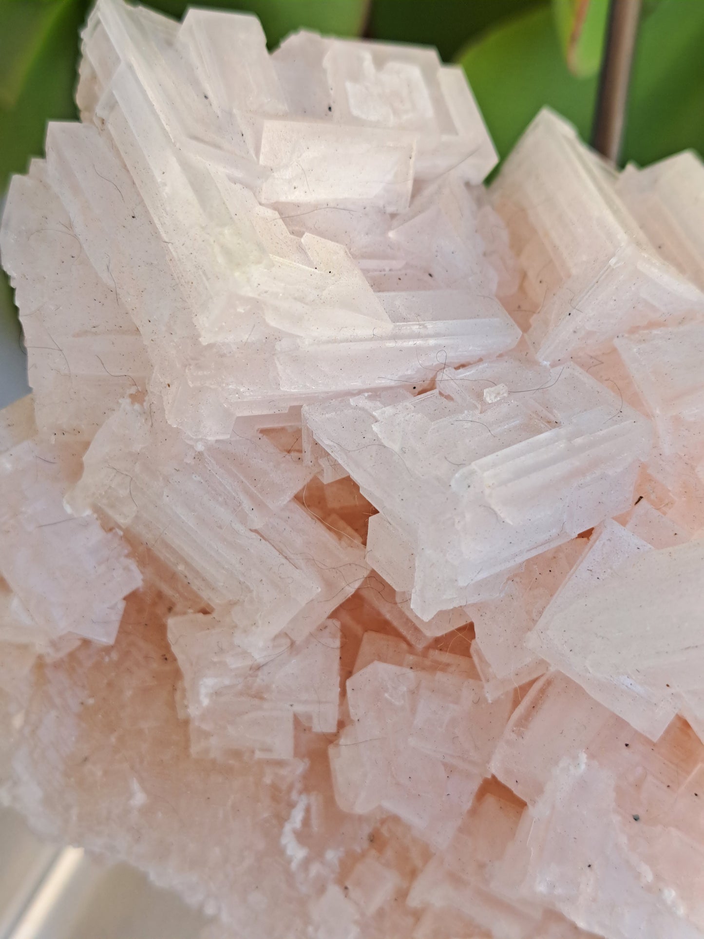 Pink Halite Specimen