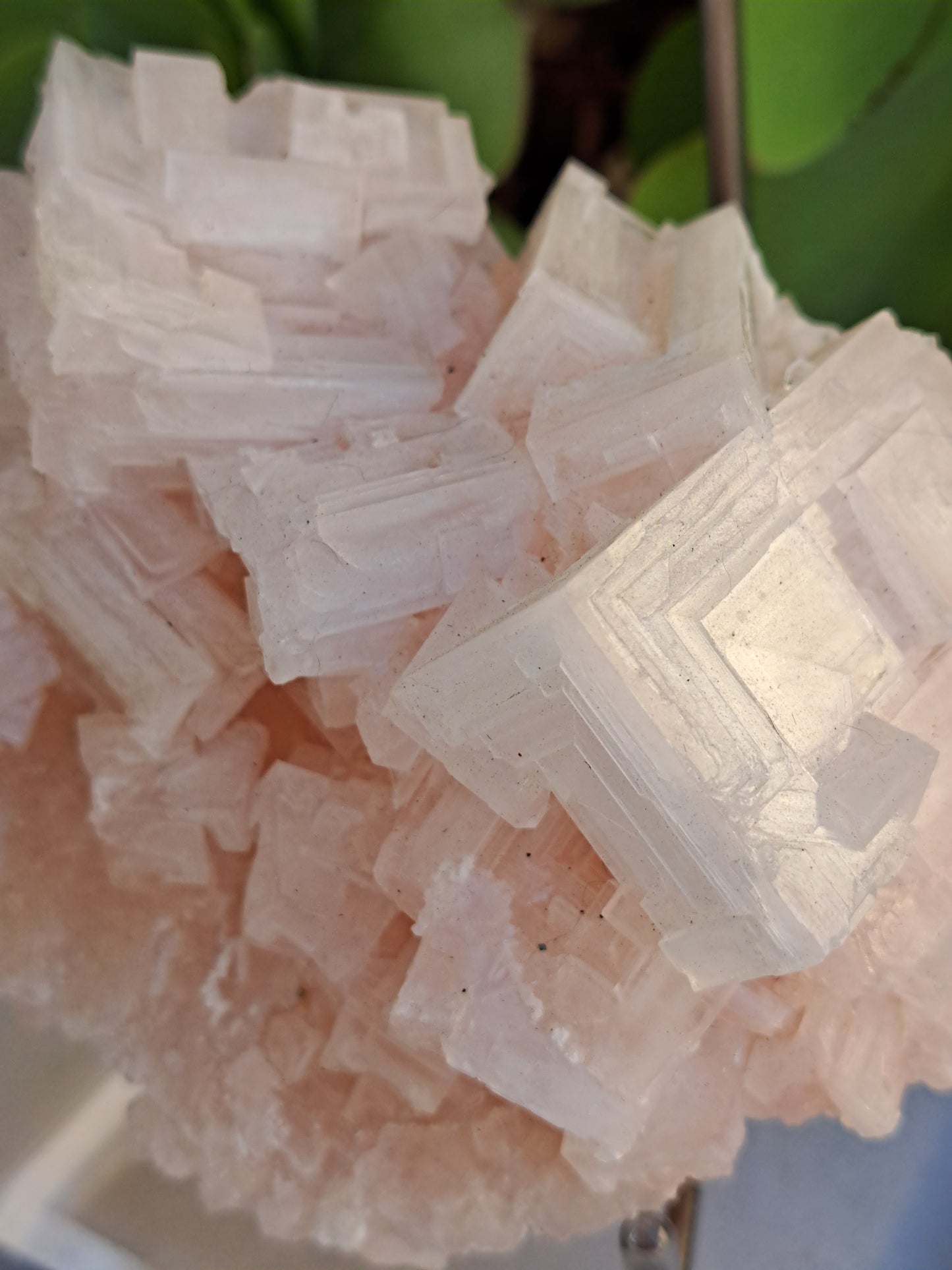 Pink Halite Specimen