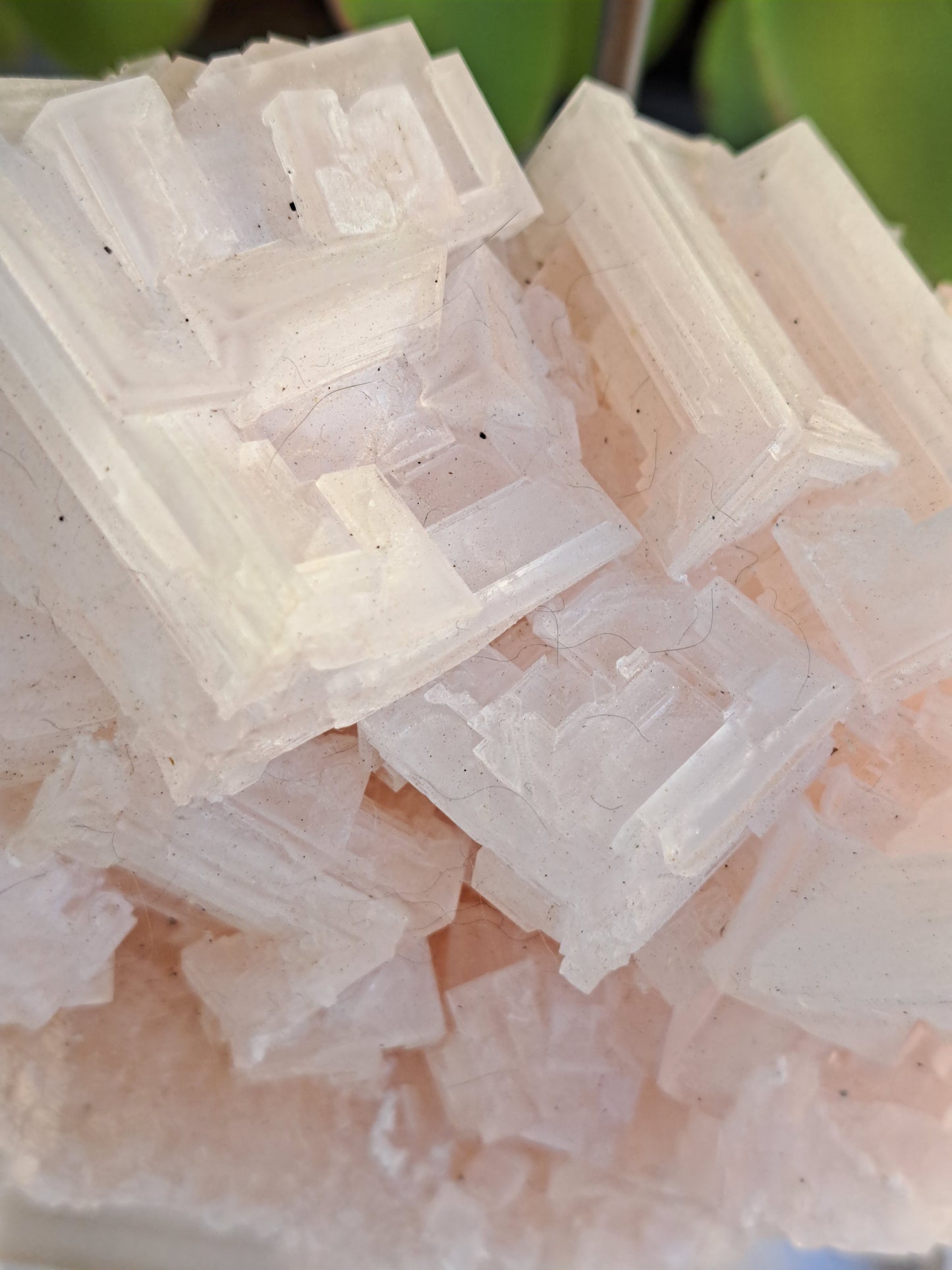 Pink Halite Specimen