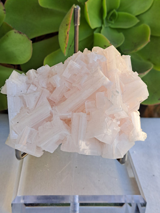 Pink Halite Specimen