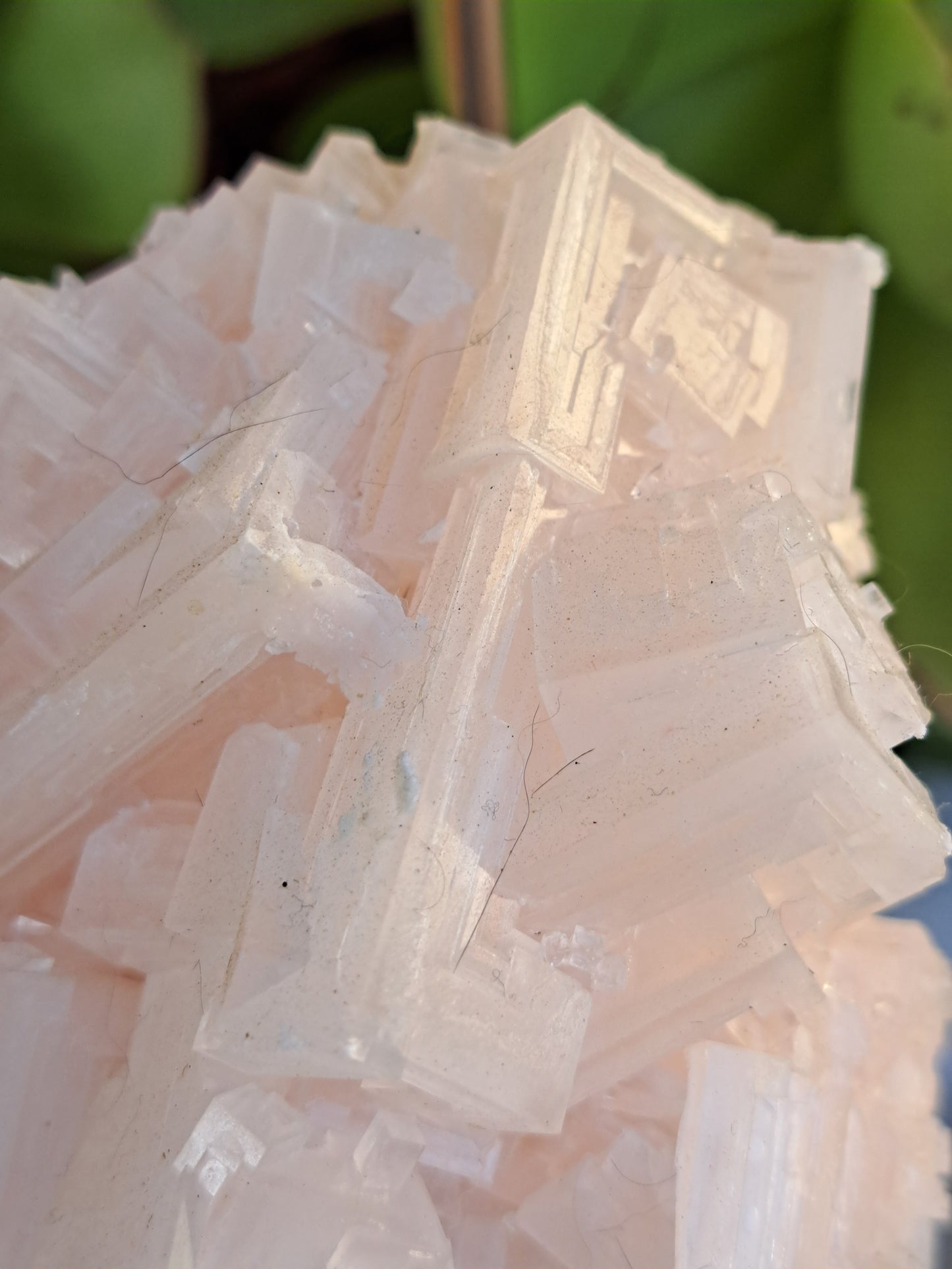 Pink Halite Specimen