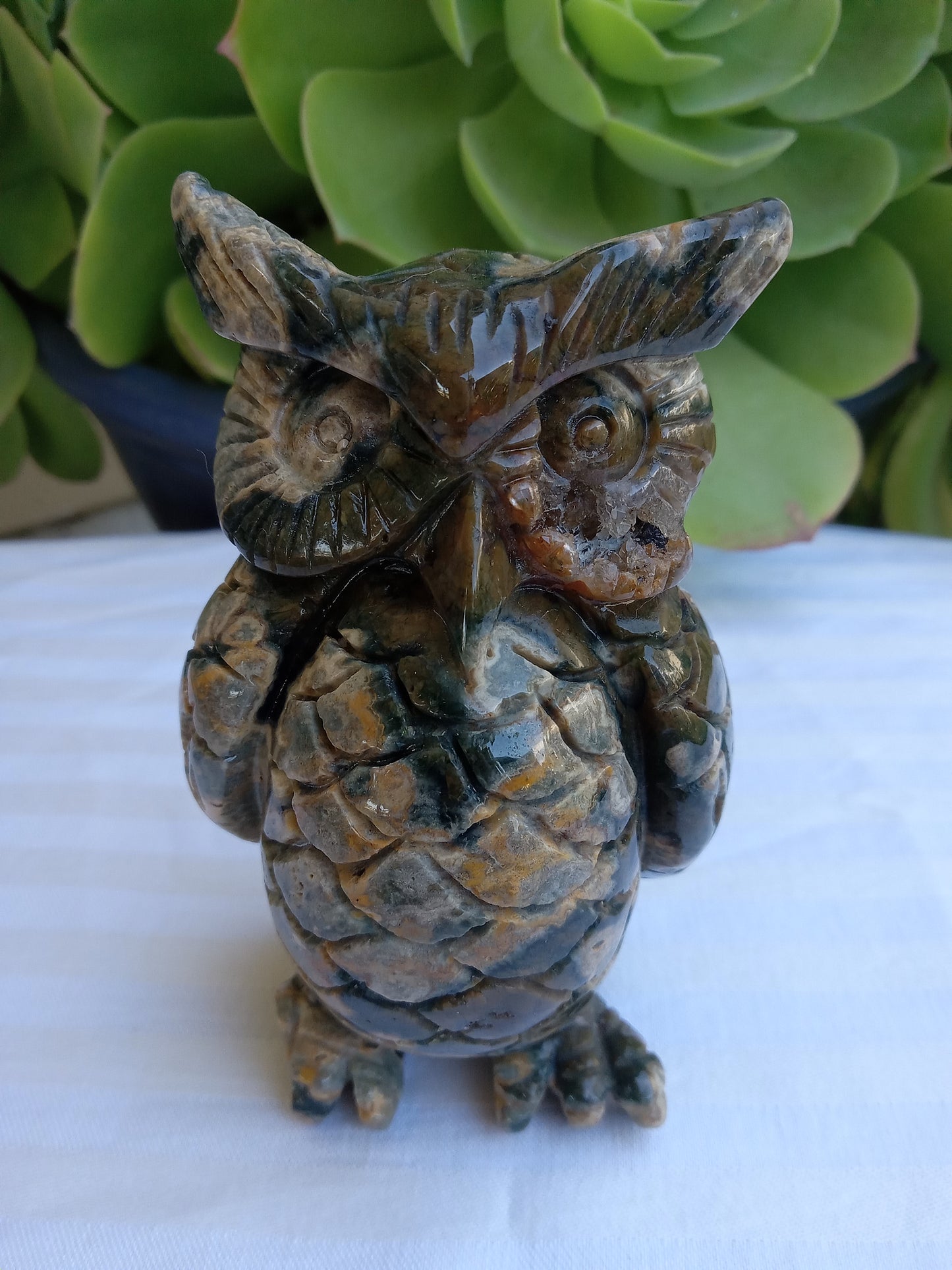 Ocean Jasper Owl